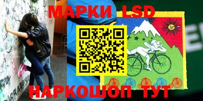прущие грибы Краснознаменск