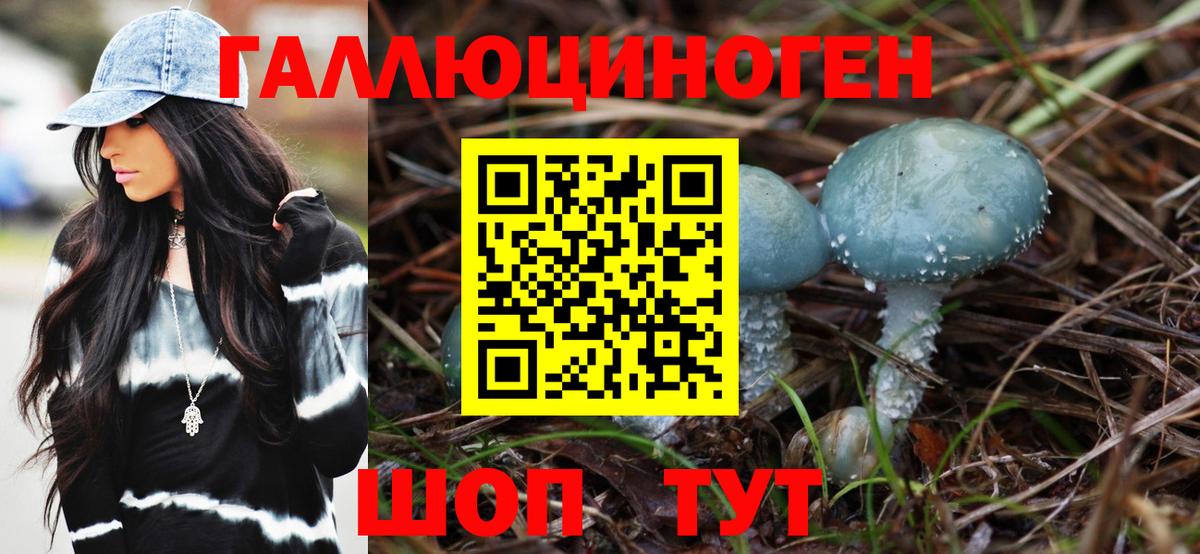 Галлюциногенные грибы Psilocybe Жигулёвск