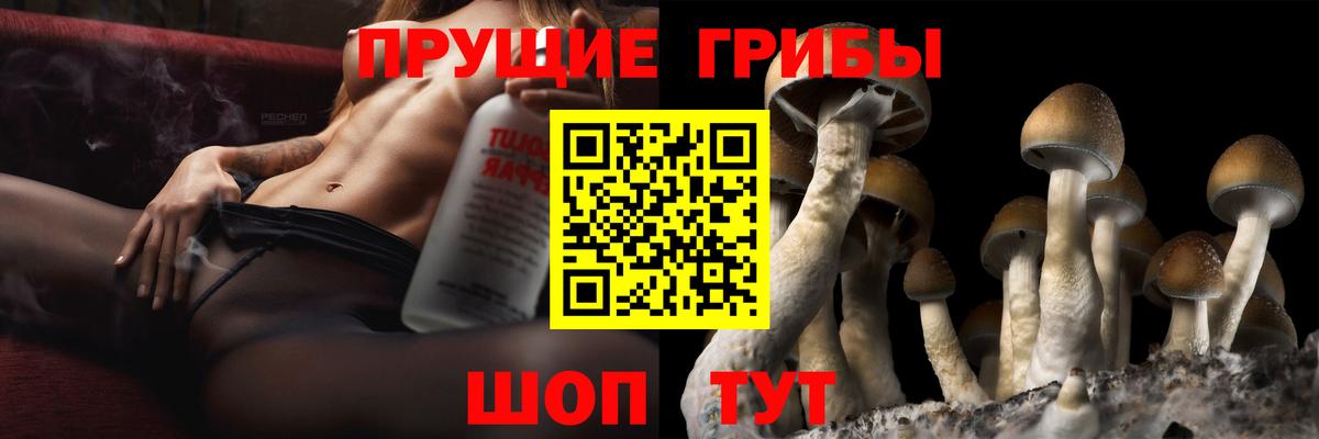 Жигулёвск  Галлюциногенные грибы Magic Shrooms  Вход с VPN 